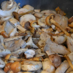 paddenstoelen 2